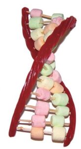 Dr Alex Ritza | Your genes want candy