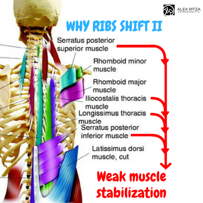 Pain From Shoulder Blade To Ribs