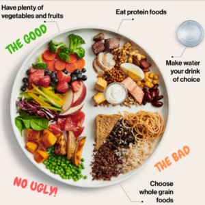 Four Things To Change About Canada S Food Guide Dr Alex Ritza Downtown Toronto Chiropractor Near Yonge And Bloor