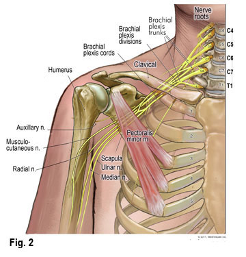 What I Learned From A Numb Pinky Finger | Dr. Alex Ritza | Downtown ...