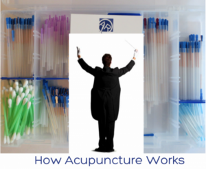 How Acupuncture Works | Dr Alex Ritza