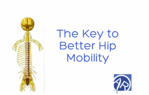 Better Hip Mobility using Isometric Exercises | Dr Alex Ritza | Downtown Toronto Chiropractor