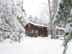 Cabin In The Woods | Dr Alex Ritza