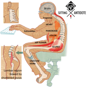 Sitting Antidote Dr Alex Ritza What happens when you sit