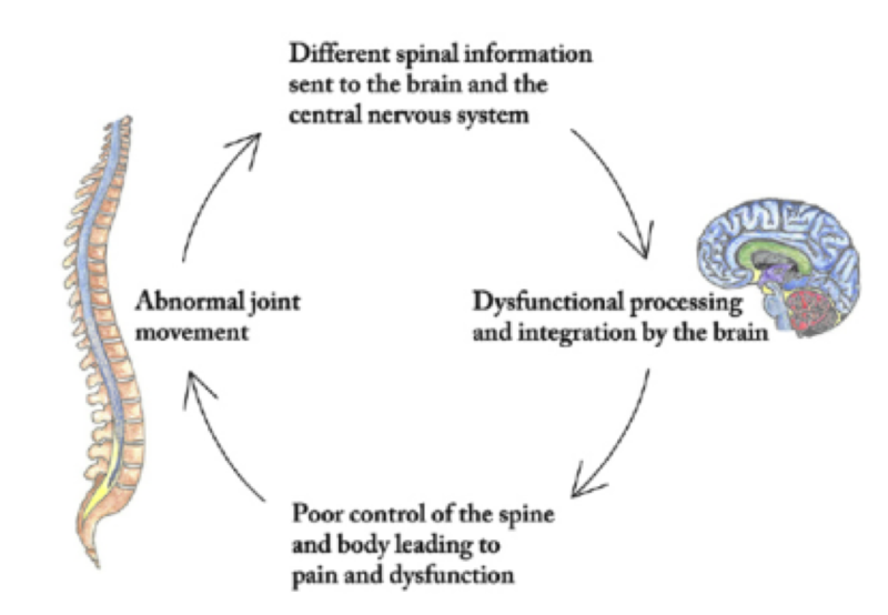 Subluxation cycle
