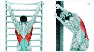 Latissimus dorsi  stretch if lots of room or self-confidence