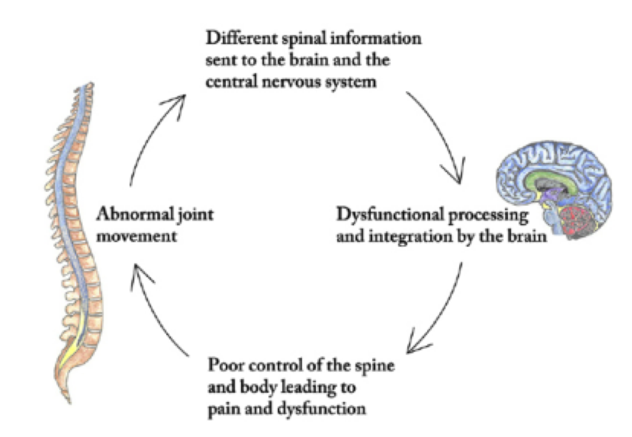 POSTURE FIX TORONTO | POSTURE CORRECTION TORONTO