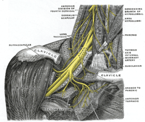 Why Is My Hand Numb Toronto | Brachial plexus treatment Toronto