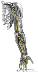 Median Nerve Irritation Treatment Toronto