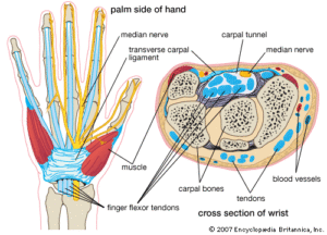 Best Carpal Tunnel Syndrome Treatment Toronto