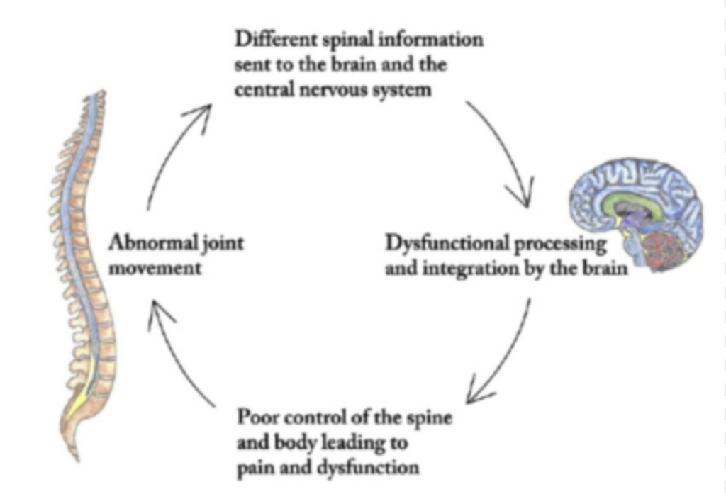 Why Does my neck hurt | Neck Pain and Stiffness Relief in Toronto