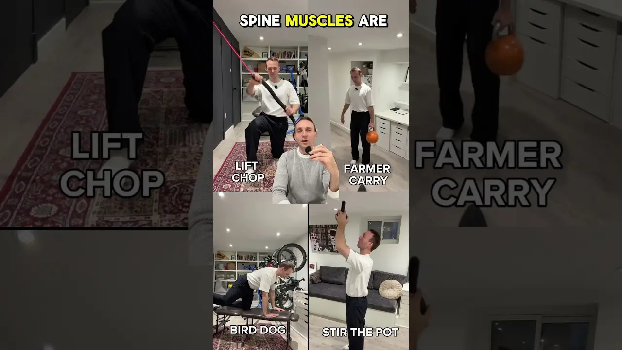 Core Exercises For Back Pain Toronto